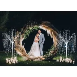 Monster Shop Wedding Moongate 200cm - Gold & Weeping Willow Tree -Parasol Shop 29318. 1 1