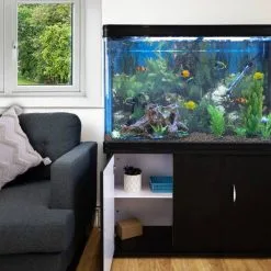 MonsterShop Aquarium Fish Tank & Cabinet With Complete Starter Kit - Black Tank & Natural Gravel 12 MonsterShop Aquarium Fish Tank & Cabinet With Complete Starter Kit - Black Tank & Natural Gravel -Parasol Shop main image lifestyle cupboard open black copy 3
