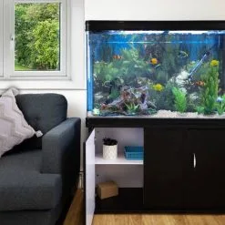 MonsterShop Aquarium Fish Tank & Cabinet With Complete Starter Kit - Black Tank & White Gravel 12 MonsterShop Aquarium Fish Tank & Cabinet With Complete Starter Kit - Black Tank & White Gravel -Parasol Shop main image lifestyle cupboard open copy 2